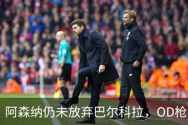 阿森纳仍未放弃巴尔科拉，OD枪手锋线补强计划迎来新目标